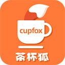 茶杯狐cupfox